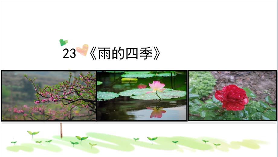 初中语文七年级下册《23雨的四季》课件_第1页