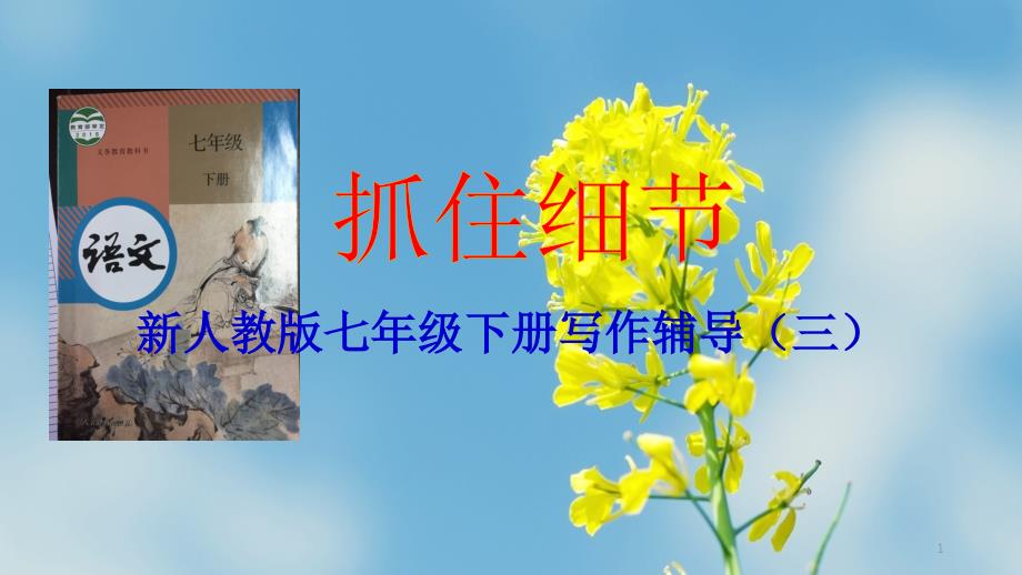 新人教版七年级下《抓住细节》ppt课件_第1页