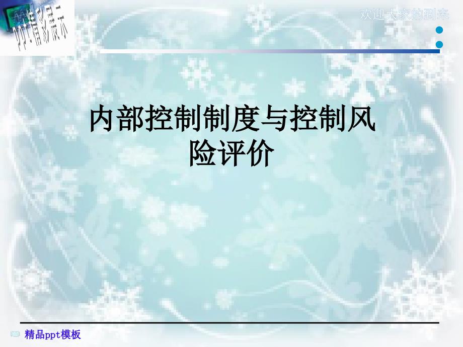 内部控制制度与控制风险评价课件_第1页