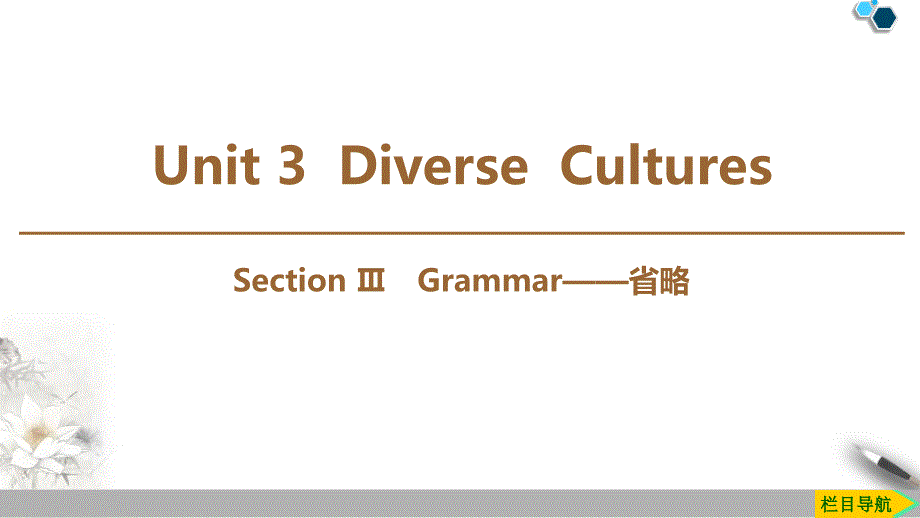 《DiverseCultures》SectionⅢ(完美版)课件_第1页