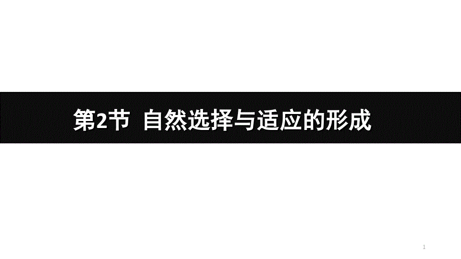 人教版生物新教材《自然选择与适应的形成》完美ppt课件_第1页