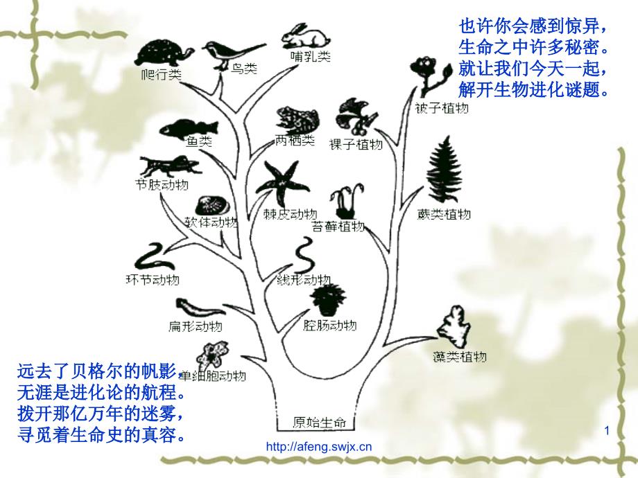 生物高中必修2第七章第一二节ppt课件_第1页