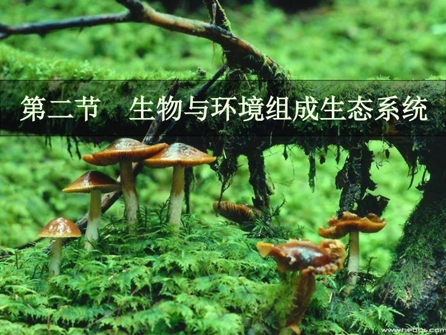 初中生物《生物与环境组成生态系统》教学ppt课件_第1页