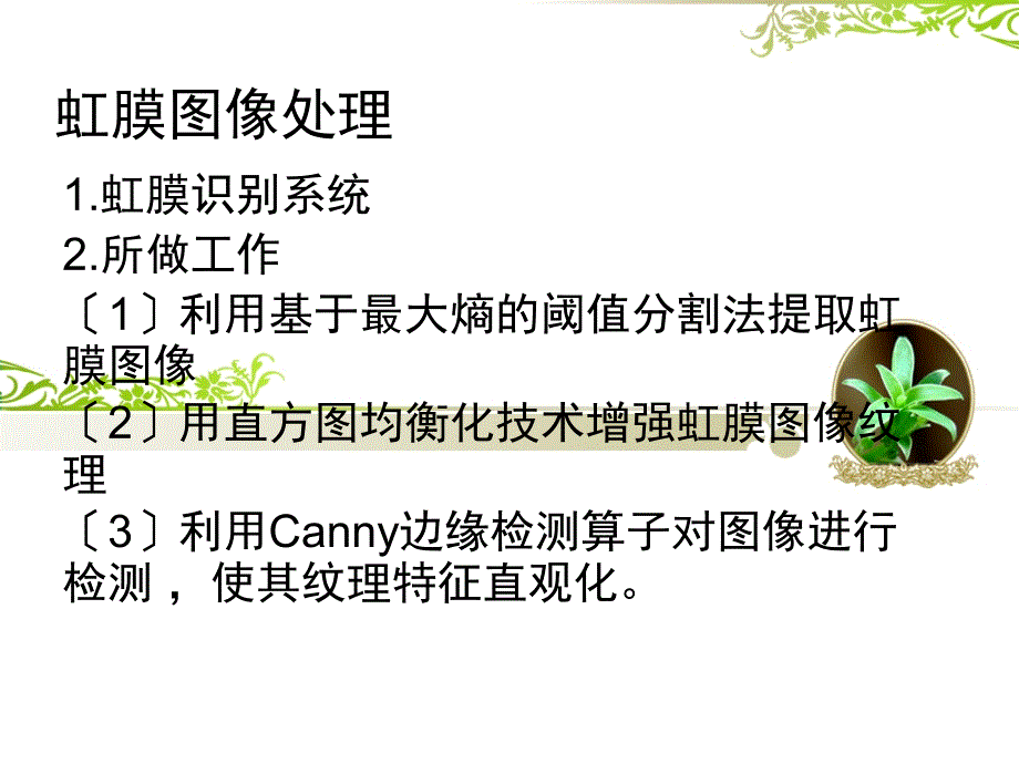 虹膜图像处理终稿课件_第1页