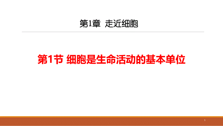 新教材生物《细胞是生命活动的基本单位》ppt课件_第1页