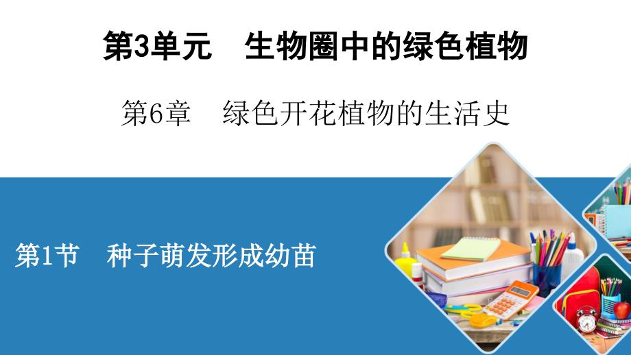 北师大生物七年级上册种子萌发形成幼苗课件_第1页