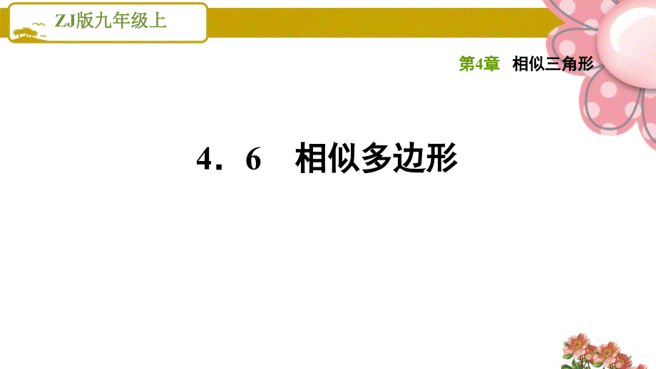 浙教版九年级数学上册《相似三角形》4.6相似多边形课件_第1页