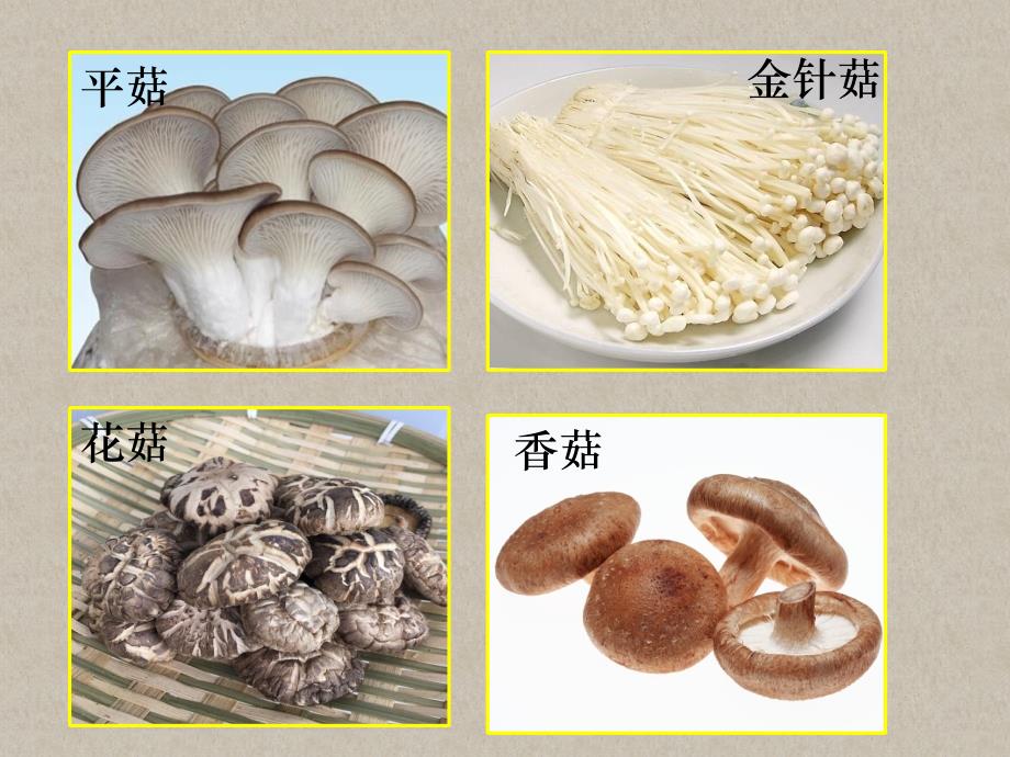 八年级(上)生物：真菌课件_第1页