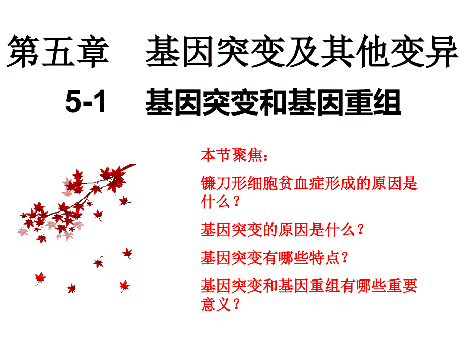 新教材人教版《基因突变和基因重组》上课ppt课件_第1页