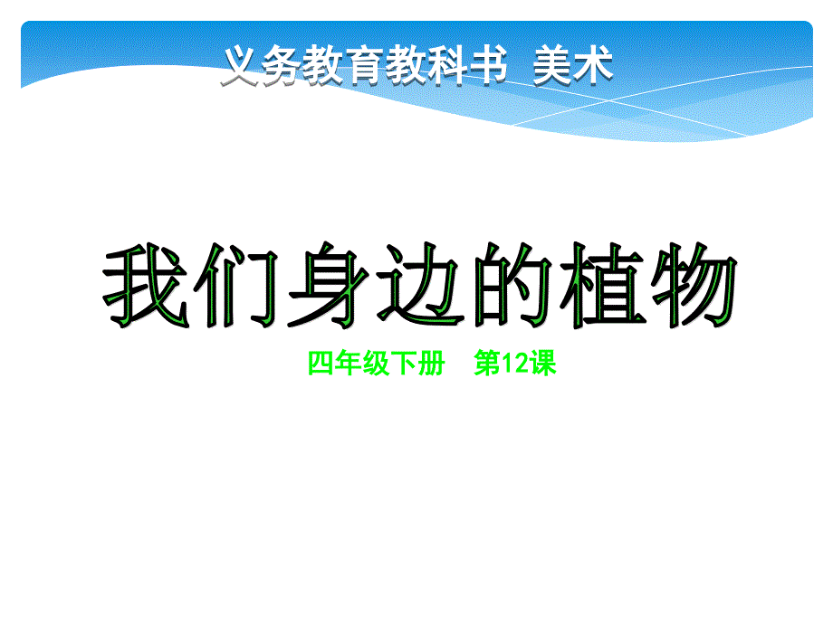 四年級(jí)下冊(cè)美術(shù)《第12課-我們身邊的植物》-人美版課件_第1頁