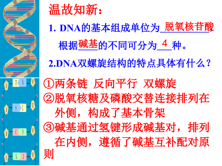 人教版新教材《DNA的复制》ppt课件_第1页