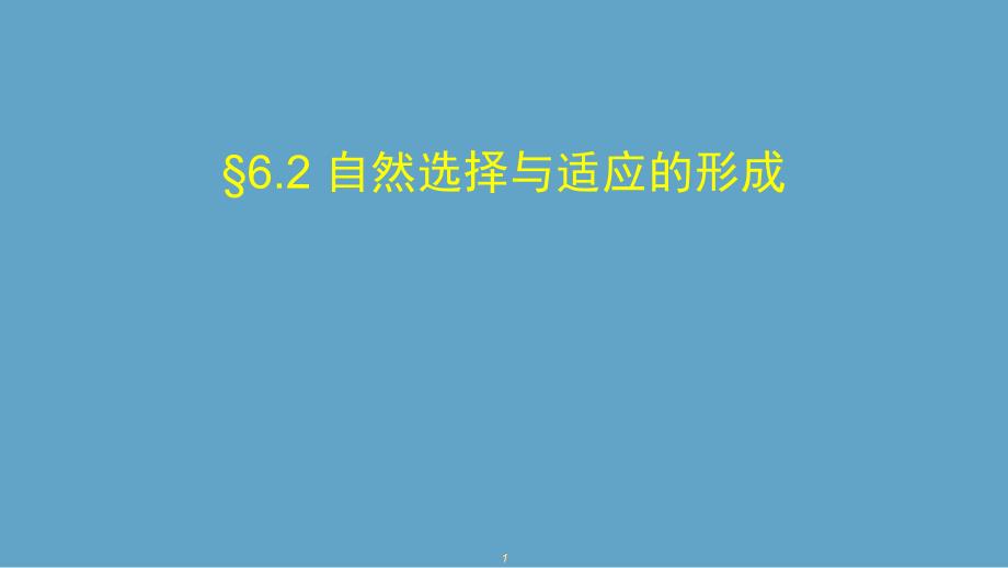 人教版生物新教材《自然选择与适应的形成》ppt课件_第1页