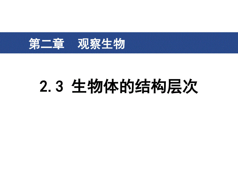 生物体的结构层次课件_第1页