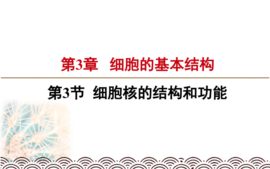 人教版细胞核的结构和功能课件_第1页