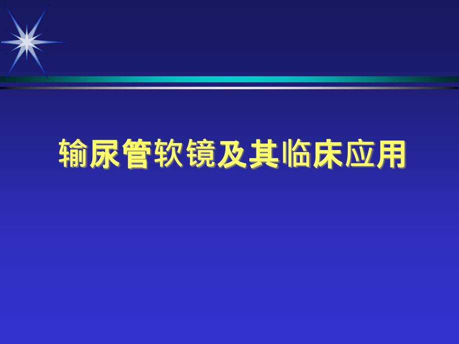 输尿管软镜及其应用课件_第1页