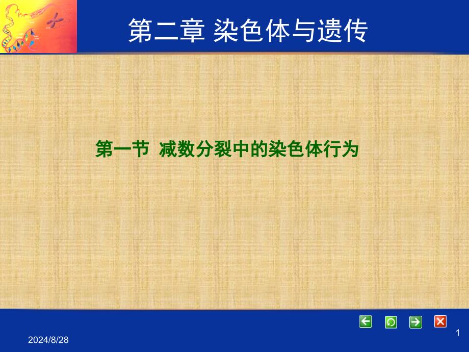 浙科版高中生物必修2减数分裂中的染色体行为名师公开课优质ppt课件_第1页