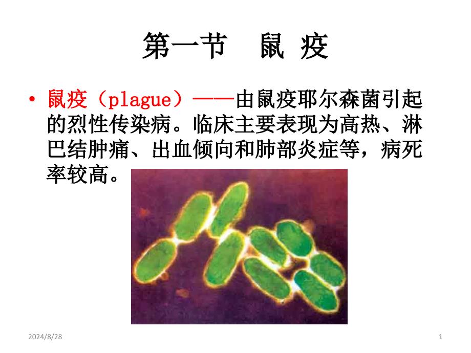 鼠疫培训讲座ppt课件_第1页