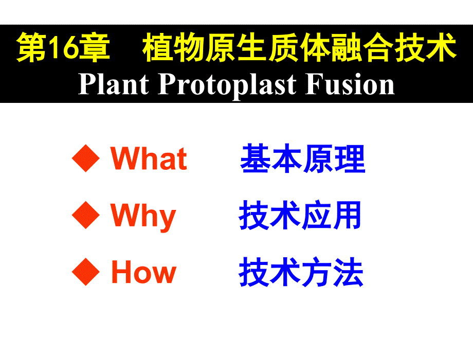 植物原生质体融合技术课件_第1页