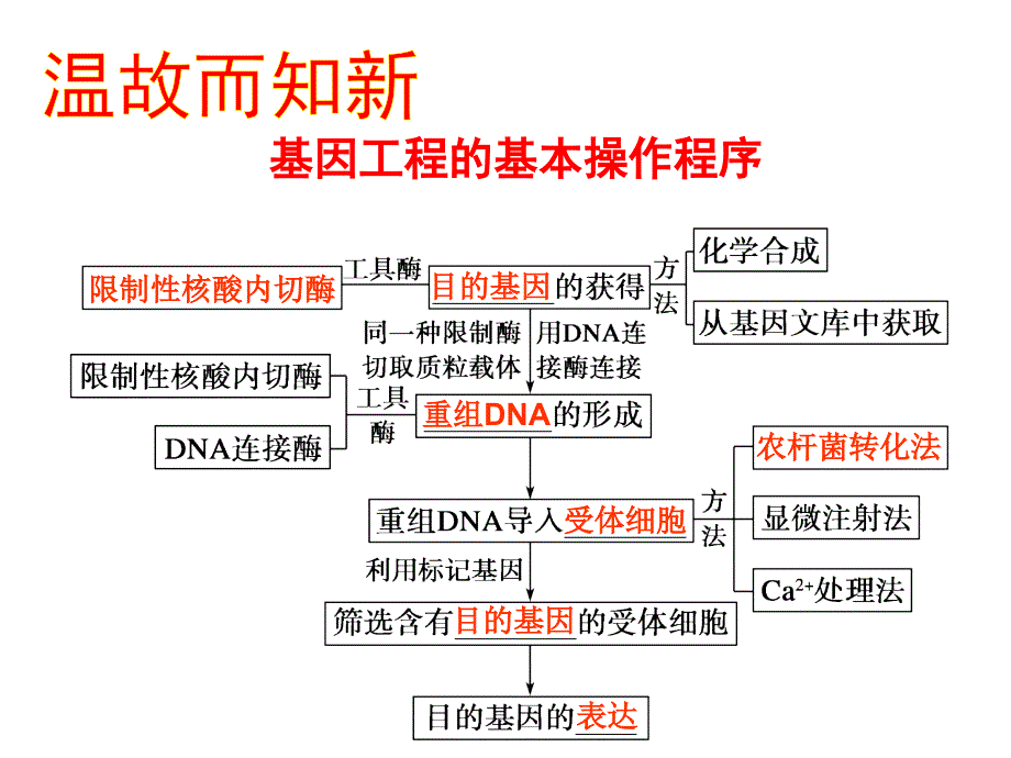 基因工程的应用培训课程(ppt 51页)_第1页