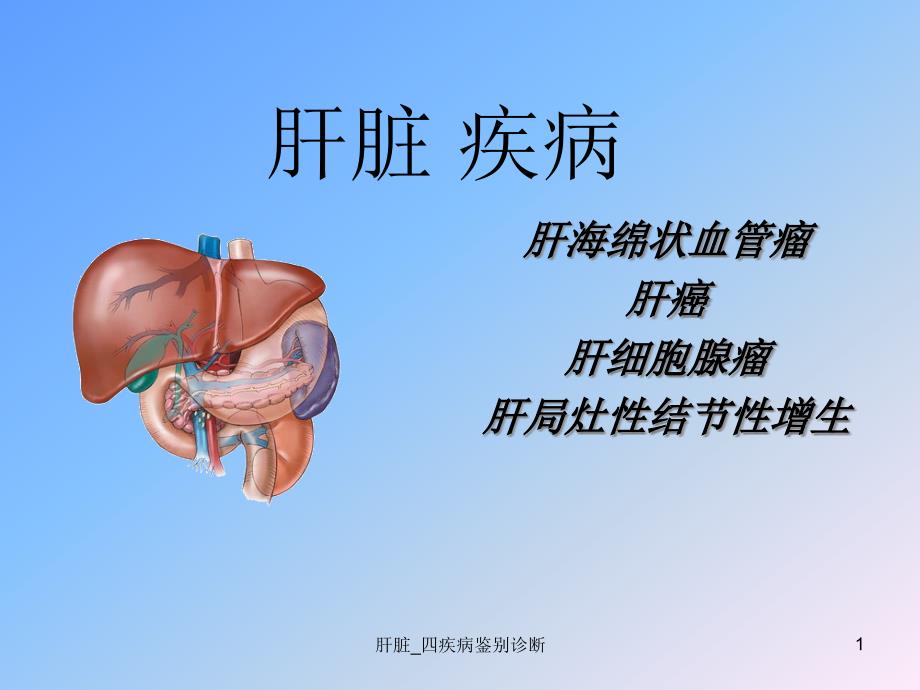 肝脏_四疾病鉴别诊断ppt课件_第1页