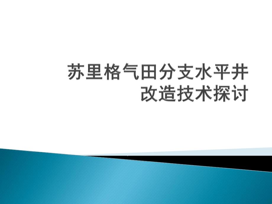 苏里格气田分支水平井技术课件_第1页