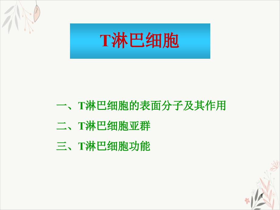 淋巴细胞及T细胞免疫应答总结课件(模板)_第1页