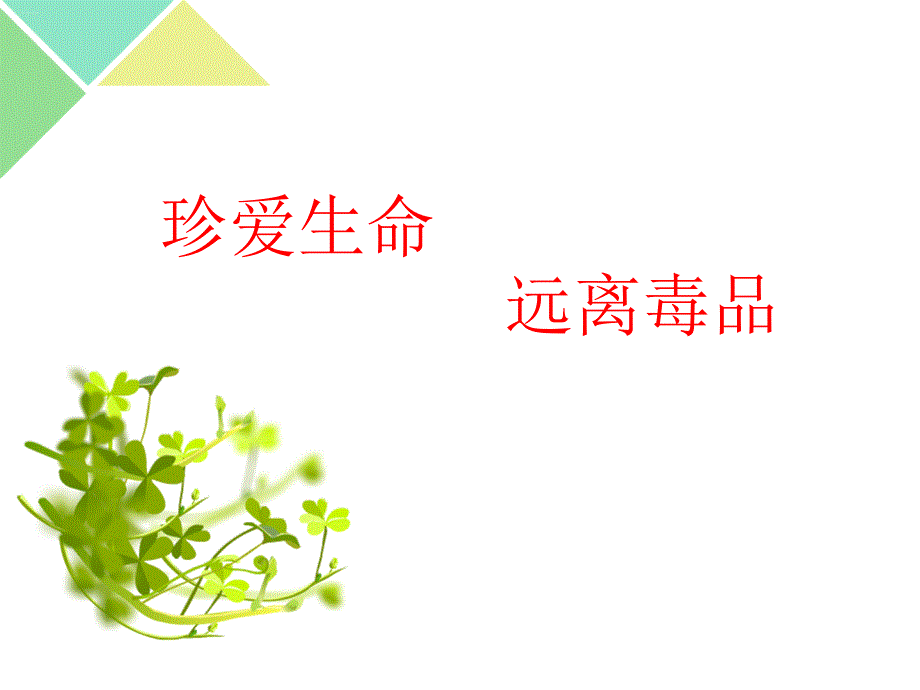 青少年珍爱生命-远离毒品ppt课件_第1页