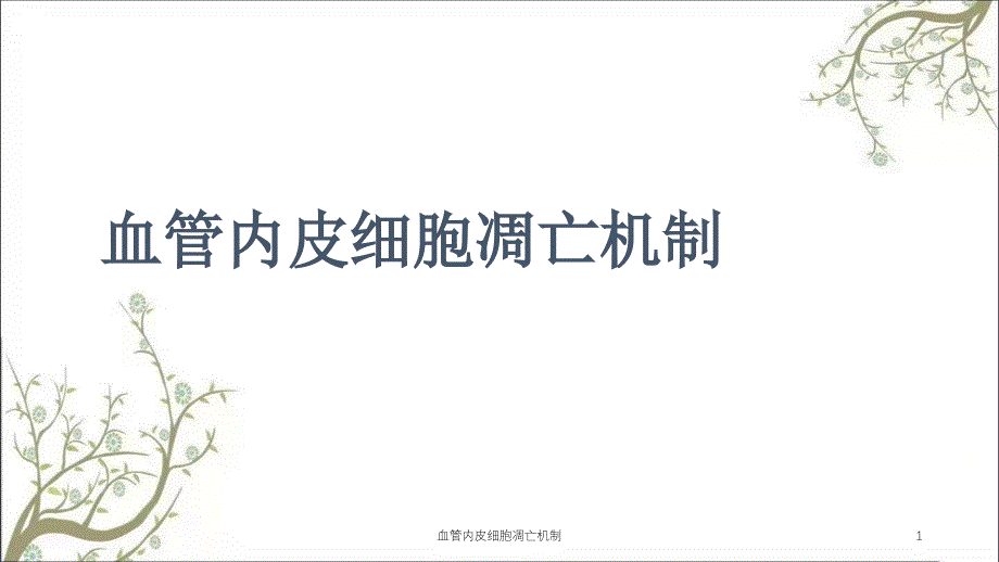 血管内皮细胞凋亡机制ppt课件_第1页