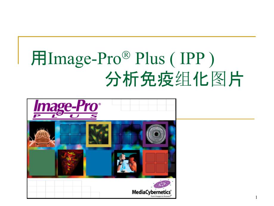 用ImagePro-Plus-分析免疫组化图片ppt课件_第1页