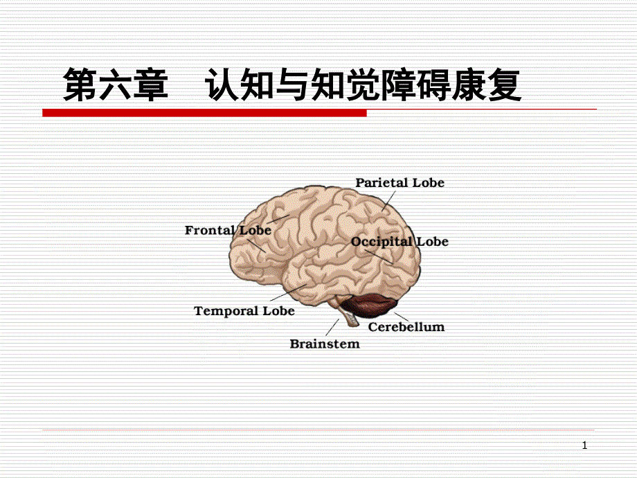 认知知觉障碍的康复评价与训练-课件_第1页