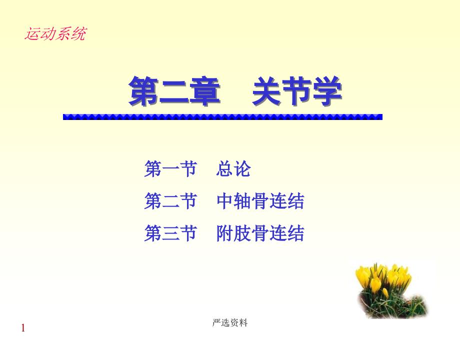 解剖学关节学(医疗ppt课件)_第1页