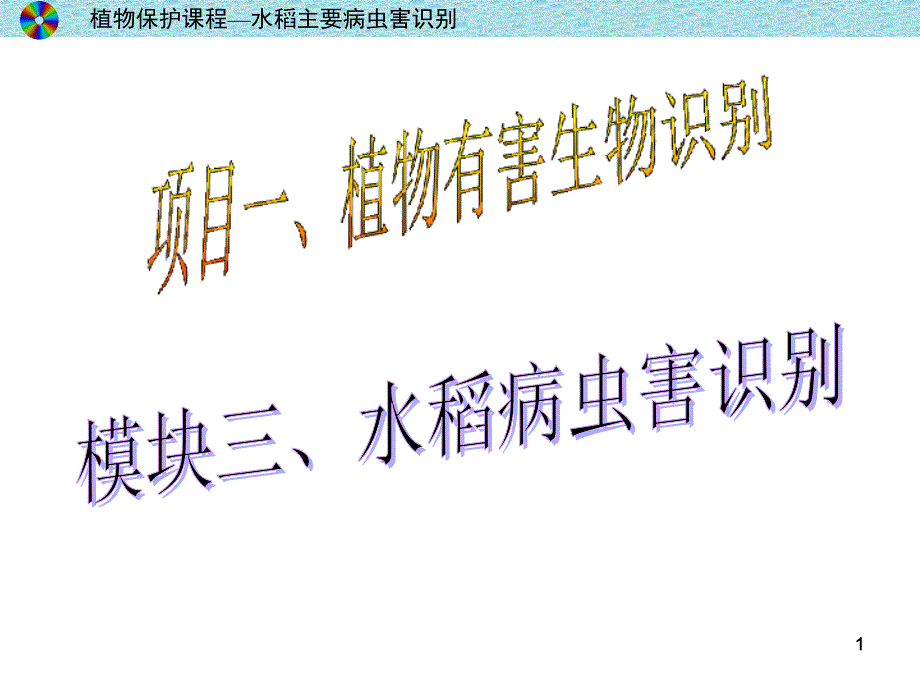 植物保护水稻主要病虫害课件_第1页