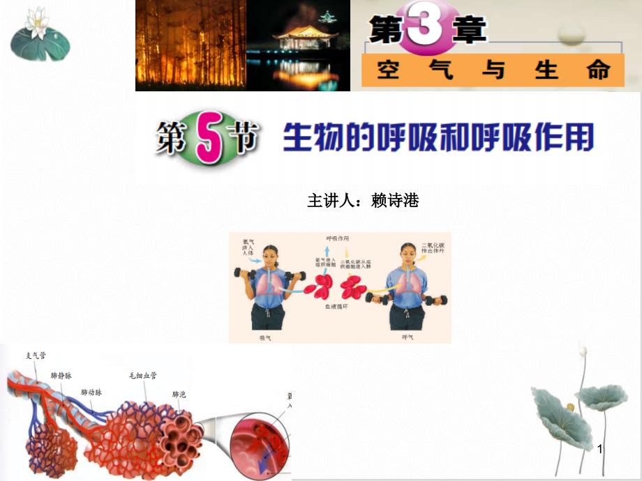 浙教版科学八级下册生物的呼吸和呼吸作用版课件_第1页