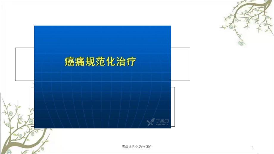 癌痛规划化治疗ppt课件_第1页