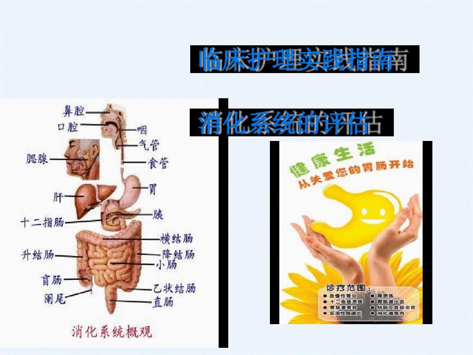 消化系统的评估课件_第1页