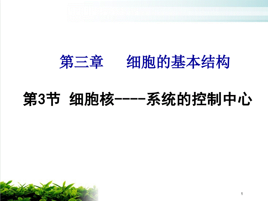 细胞核人教版高中生物必修一完美ppt课件_第1页