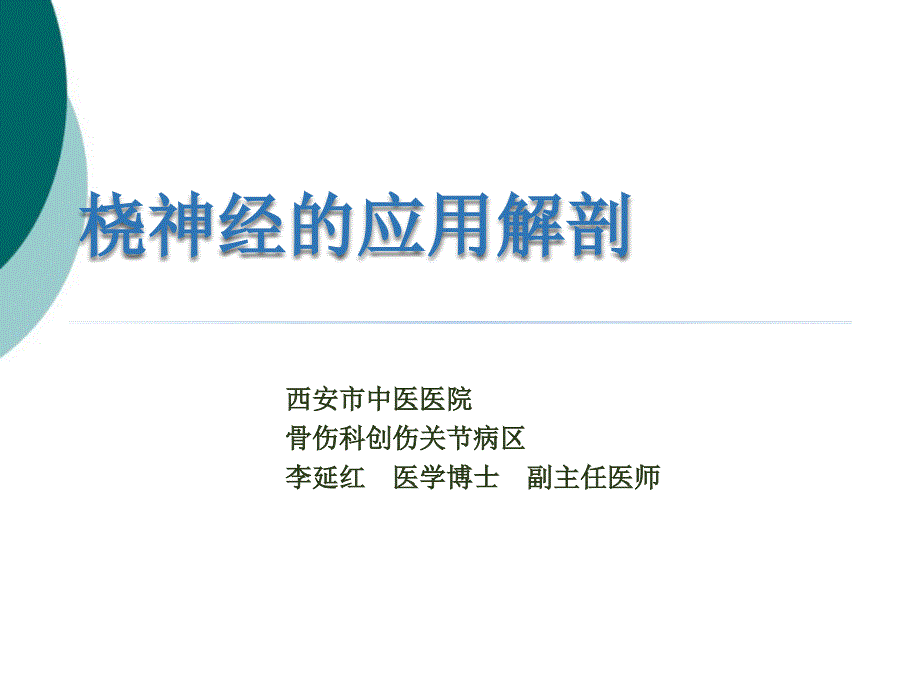 桡神经的应用解剖课件_第1页