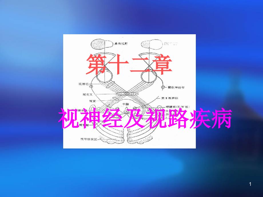 视神经及视路疾病医疗管理知识分析课件_第1页