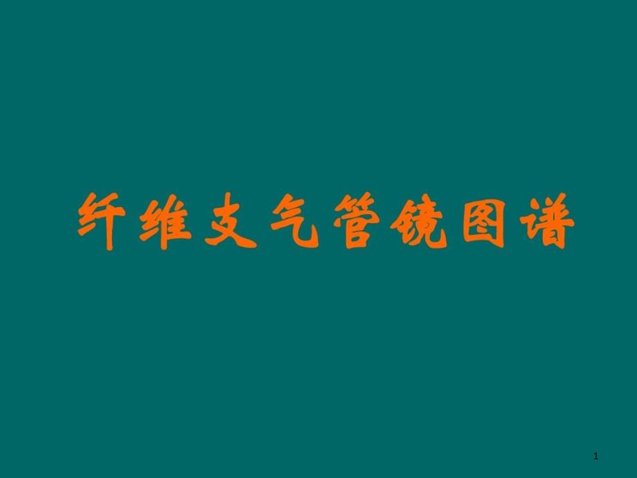 纤维支气管镜图谱课件_第1页