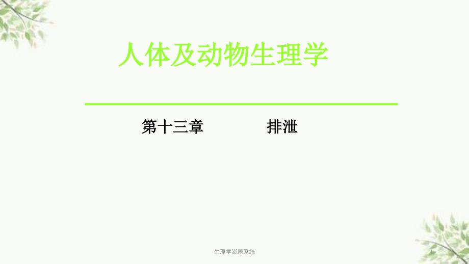 生理学泌尿系统课件_第1页