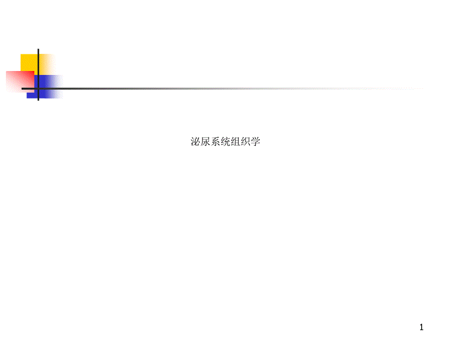 泌尿系统组织学课件_第1页