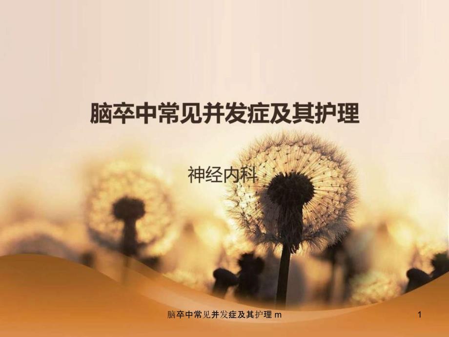 脑卒中常见并发症及其护理-mppt课件_第1页