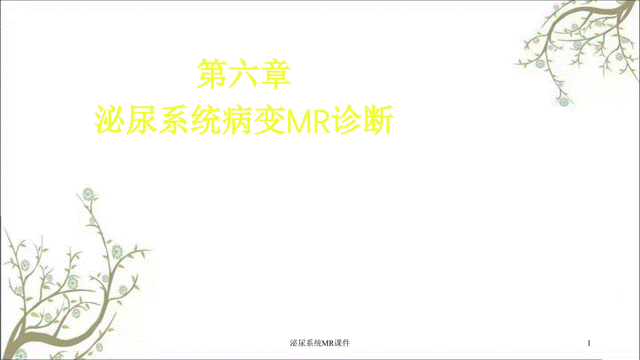 泌尿系统MRppt课件_第1页