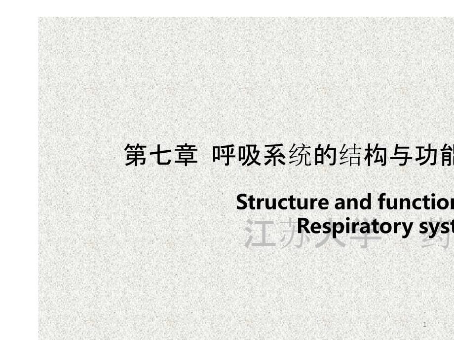 生理第七章呼吸系统的结构和功能课件_第1页