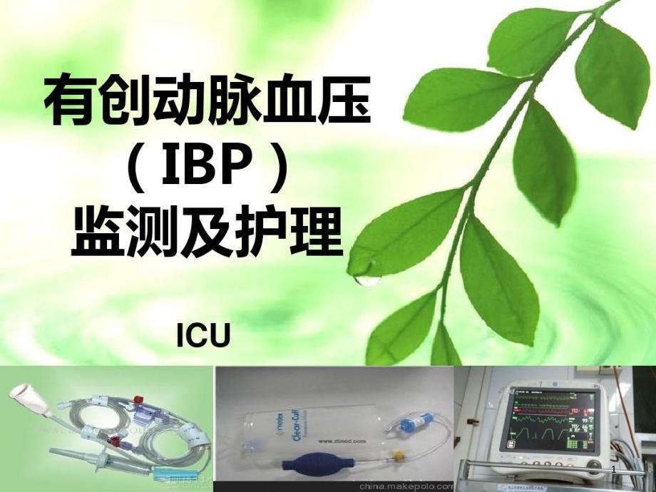 有创动脉血压（IBP）监测及护理课件_第1页