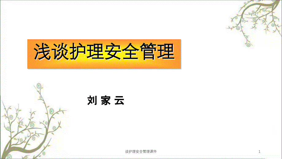 谈护理安全管理ppt课件_第1页