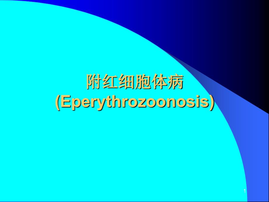 附红细胞体病Eperythrozoonosis课件_第1页