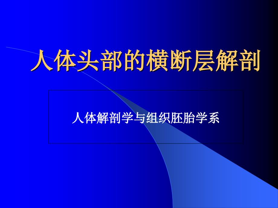 人体头部的横断层解剖课件_第1页