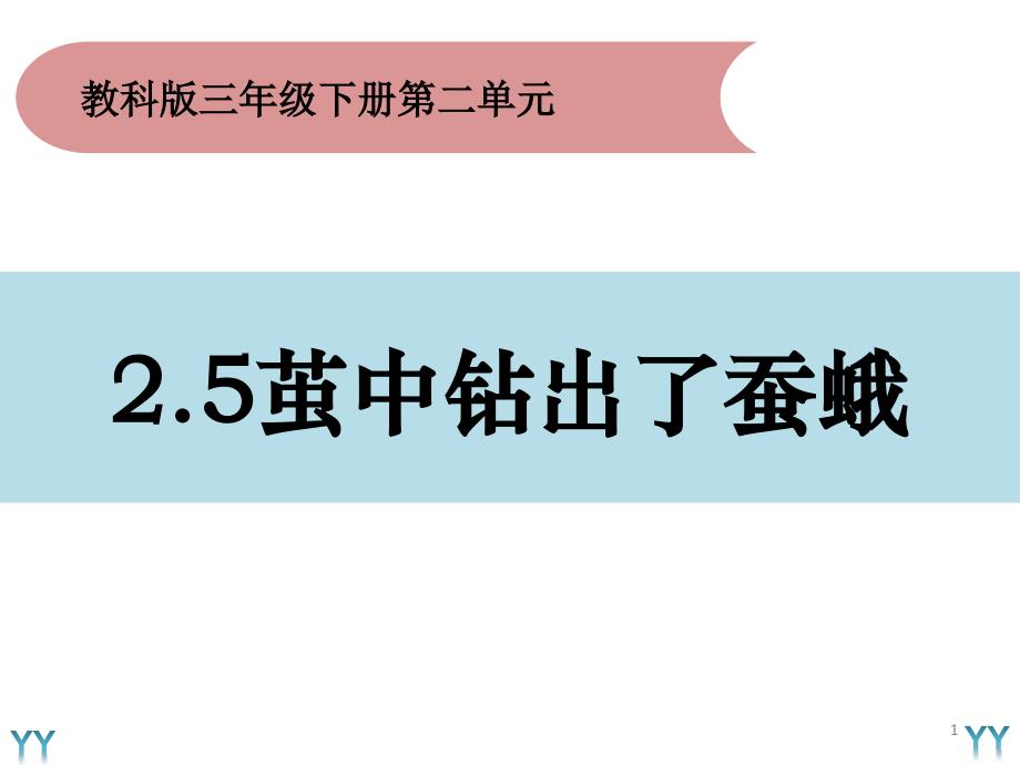 三年级下册科学《茧中钻出了蚕蛾》教科版课件_第1页