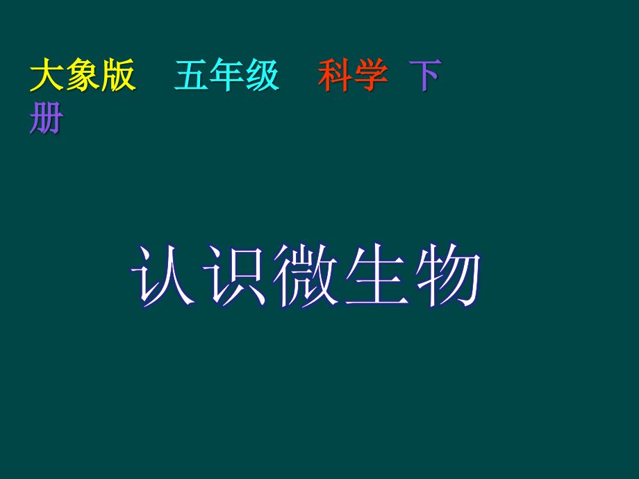 大象版五年级科学下册《认识微生物》ppt课件_第1页